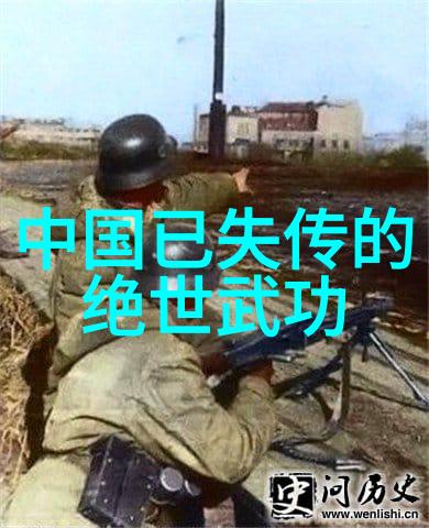 太极拳与葡萄酒武功秘籍大全招式拳法在社会中的融合