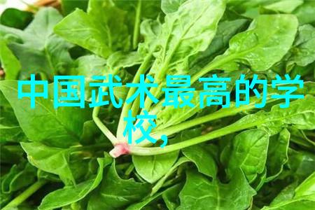 俄罗斯驴友情侣穷游世界走路去上海 高速热心帮助