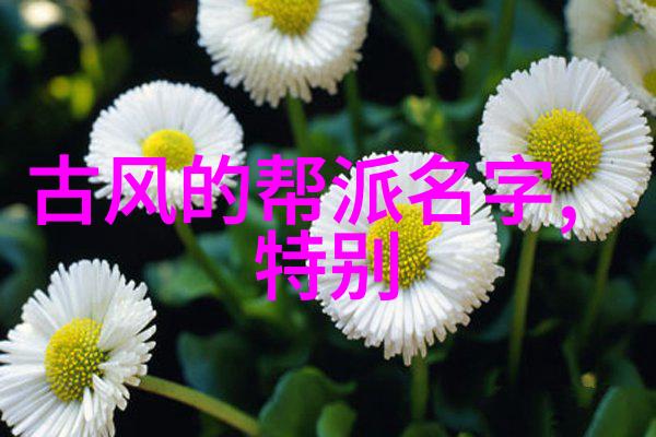 武林秘籍技艺无边的遥远篇章