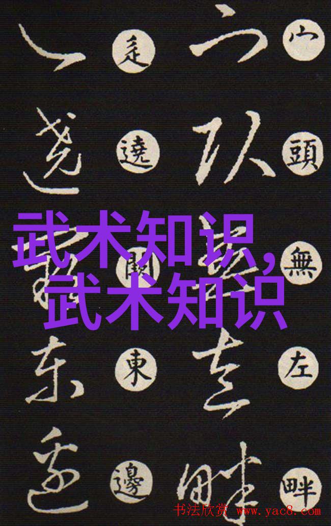 太极拳24式图解教程体会内外柔韧