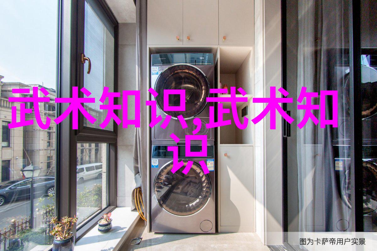 少年武林拳影中传承的秘密
