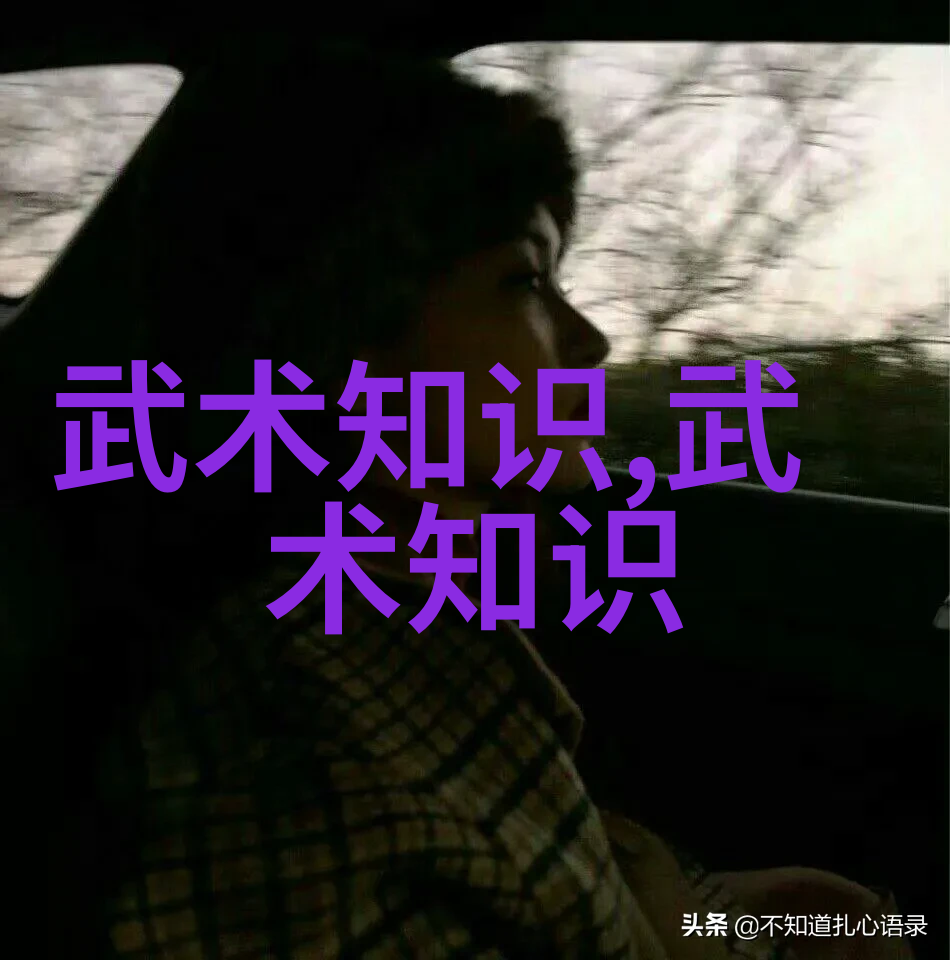 盛夏晚晴天全集追逐梦想绘制人生