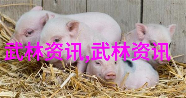 湖南武术门派精华八法拳