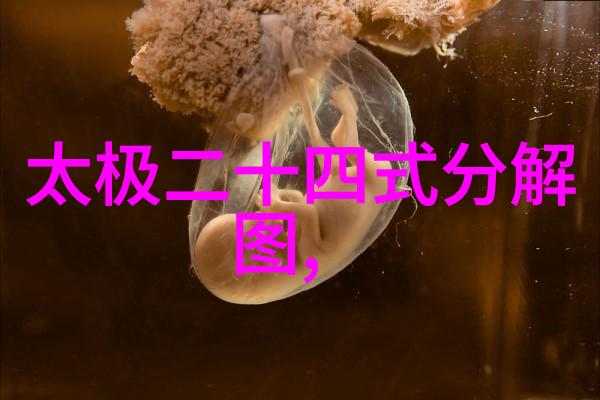为何选择英文命名女生帮派