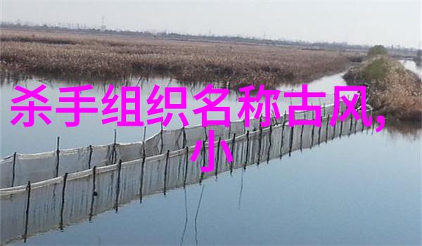 太极拳艺术之美32式全套分解深度探究