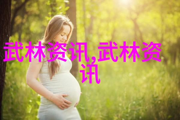 六大门派的财源奇观秘笈与收入之谜