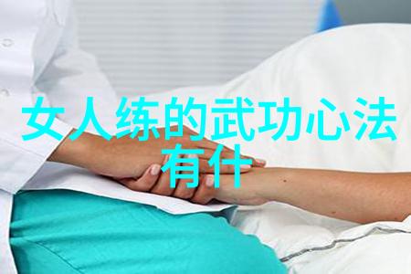 中国传统武术拳法内家外派功夫技巧