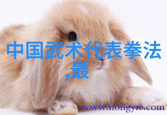 午夜伦理探索人性深处的欲望与秘密