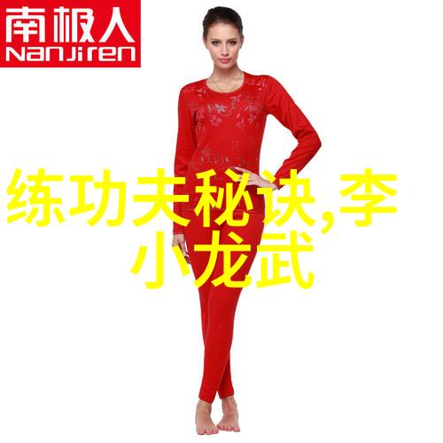 传统武术宝库揭秘中国129个门派的独特之处