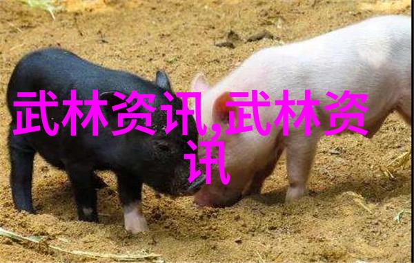 二手医疗器械助您探索最优哑铃侧平举组数秘诀