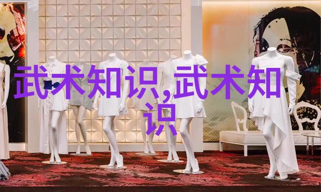 武术自学系统武术学习方法武术技巧练习武术理论研究