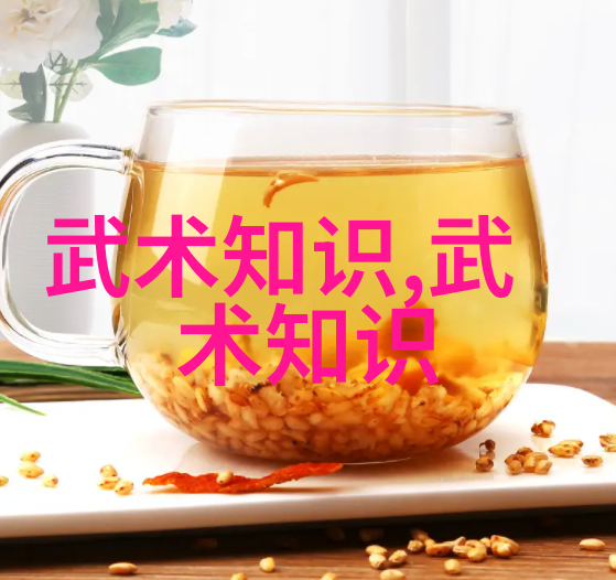 武林秘籍招式大全带图-武林绝学揭秘千年内功外力的武术神器