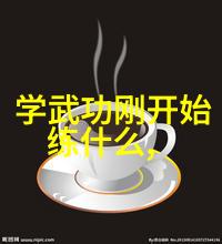 如果将形意拳与其他内家拳相比较它最易受损于哪一门