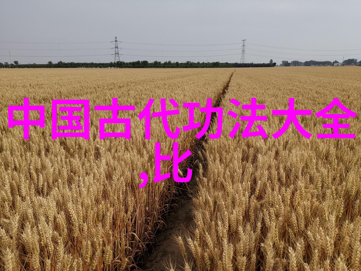 古典与现代的碰撞武林秘籍大全在当代应用的可能