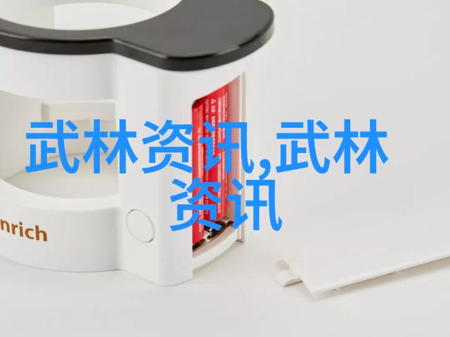拳法秘籍全集沉默中的拳影之书
