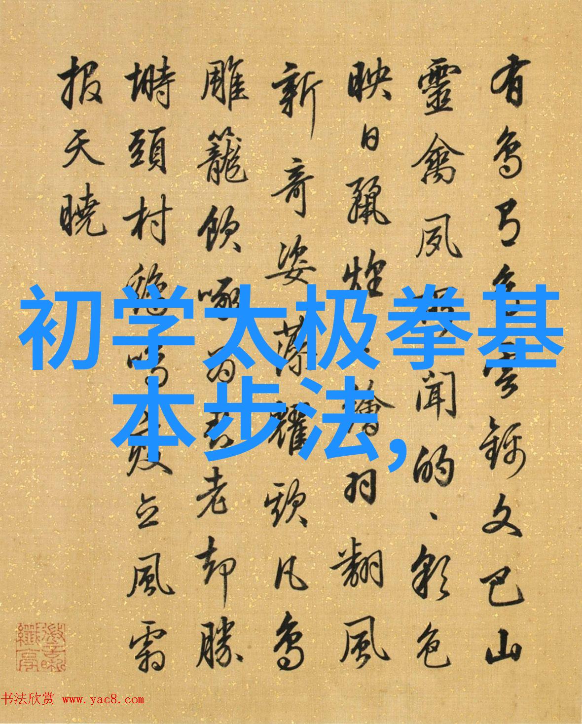 中华武林秘籍揭秘百家绝学
