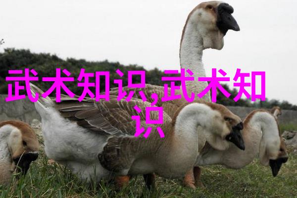 武道秘籍神龙伏羲九阴真经