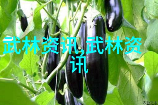 鲇鱼在自然环境中使用跑鱼技巧时可能会采用错误的回鱼方法