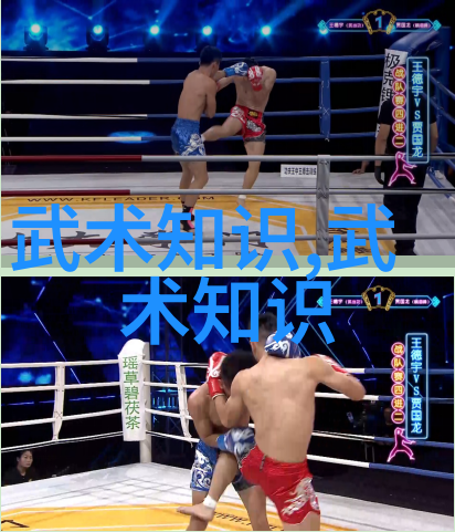武林三十家揭秘中国古代武术门派的精髓