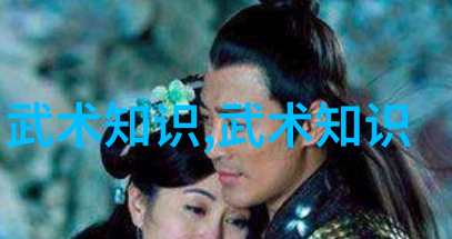 太极功夫秘籍 - 升华者之道揭秘内在修为与外在招式