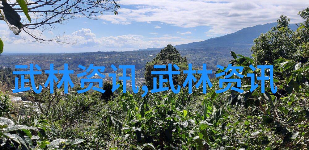 最新霸气军团名单公布全球瞩目的焦点
