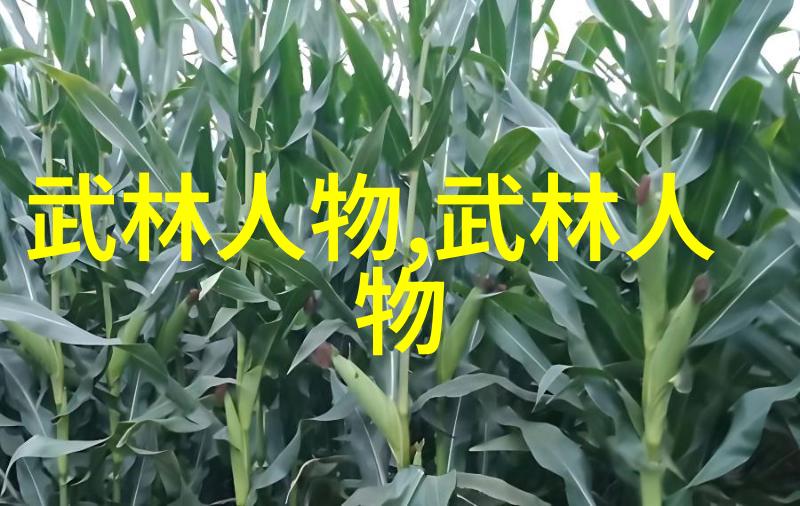 湖南武术门派江湖中的千军万马各有所长每一路都如同一把钥匙开启着武学的奥秘
