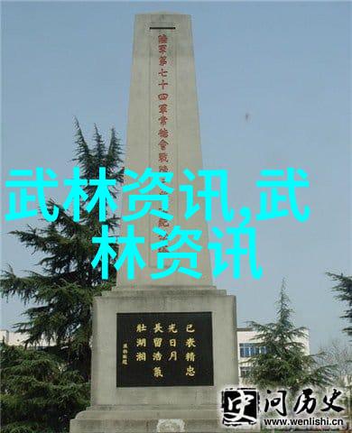 仙盟秘笈济宁查拳之谜