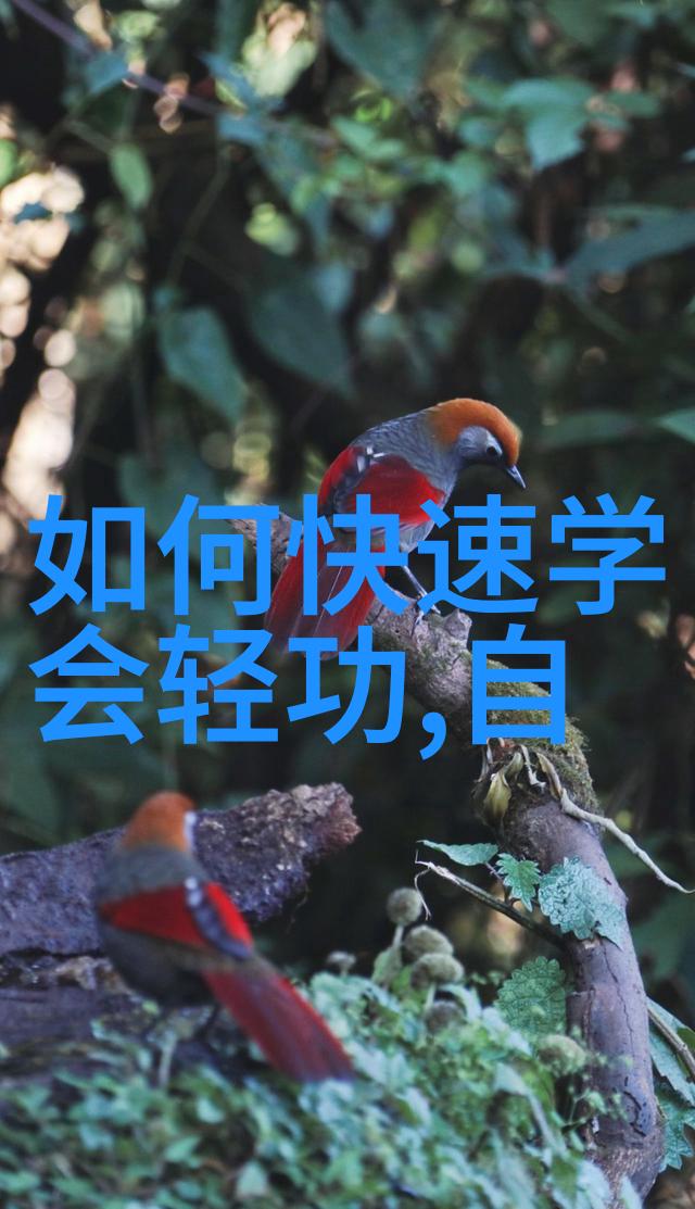 女儿仙气飘飘帮派中的翩翩佳人