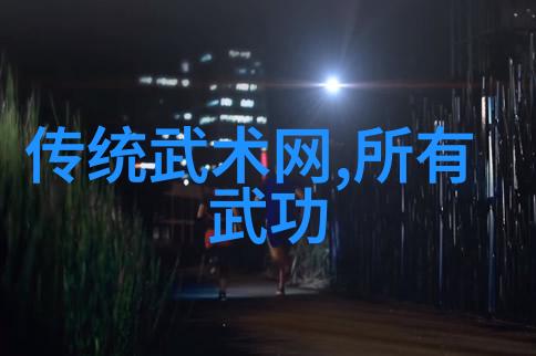 寻道者普通人的武功修行