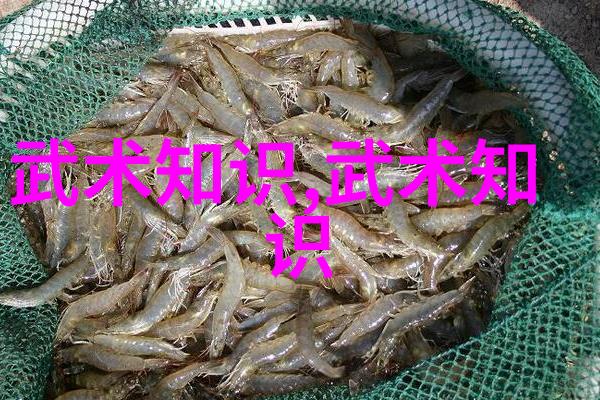 守寡后我重生了从悲伤到崛起我的 widowhood 重生之旅