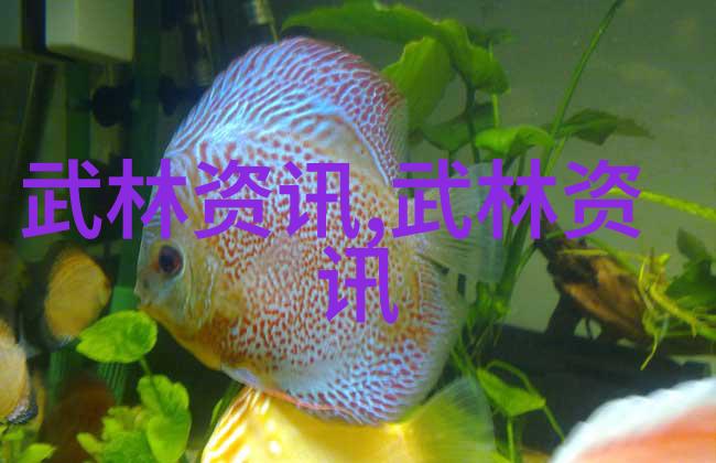 古风势力之音旋律征途