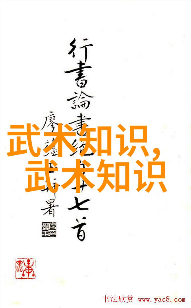 武道修炼入门之旅