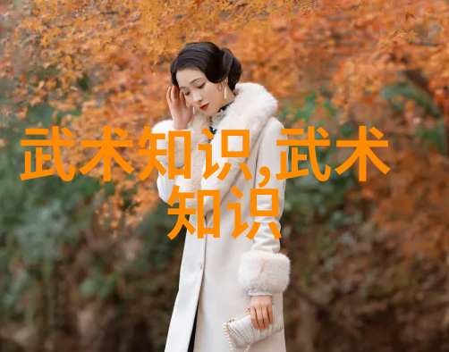 武功秘籍网解锁中华武学宝库的秘密