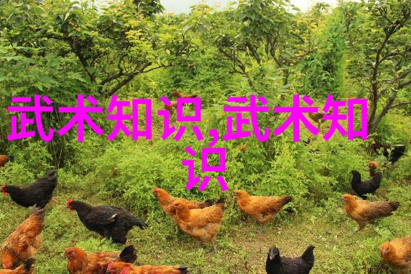 蚀骨沉沦我曾经的疯狂从失去一切到重生