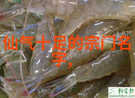 太极拳之入门拳法定位于心与体的和谐对偶