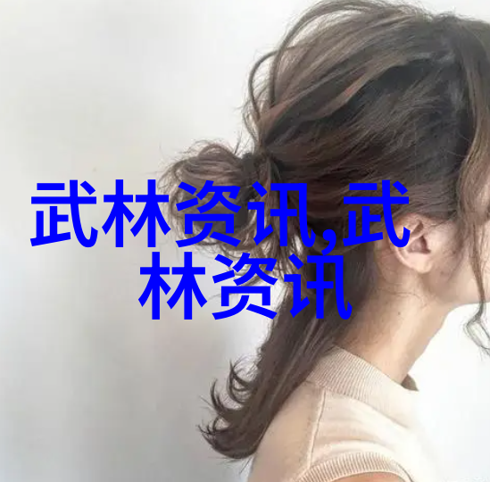 中国最著名的武术流派宗岳太极拳在社会中的影响力