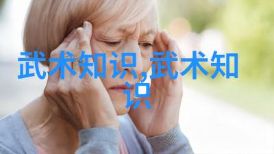 中国武术门派研究探索千年传承与实战技巧