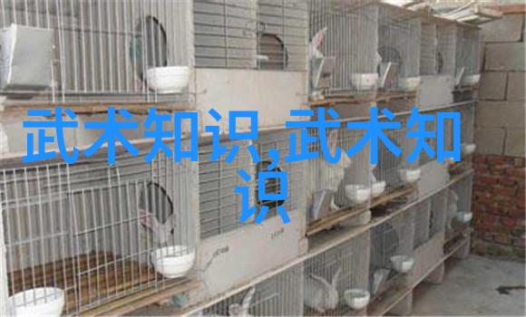 武当全真龙门派传人武当山全真道龙门派的正统继承者