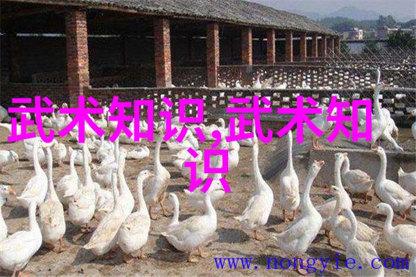 逆袭甜婚记文文的小后妈