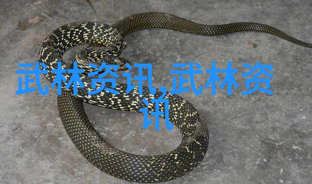气功禁令揭秘10种被禁止的内功练习