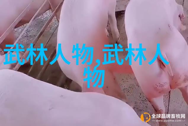 太极拳24式慢动作讲解 - 揽月捉星深入了解太极拳24式的精髓