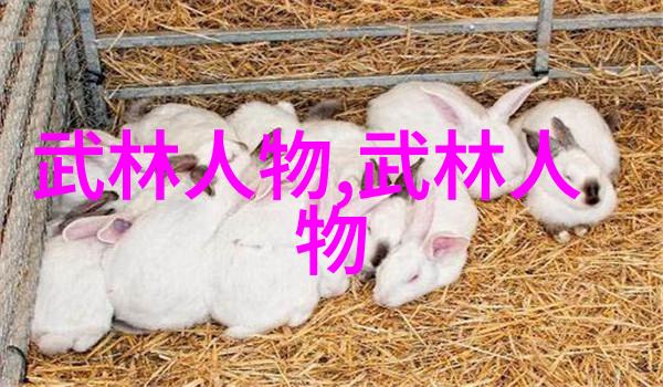 从一怪到五绝揭秘中国民间传说的奥秘