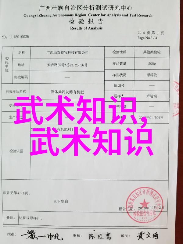剑意长存刀魂永燃武林古籍解读