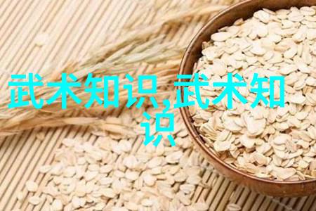 中国体系最庞大的武术门派-天龙八部揭秘武林至尊的源流与辉煌