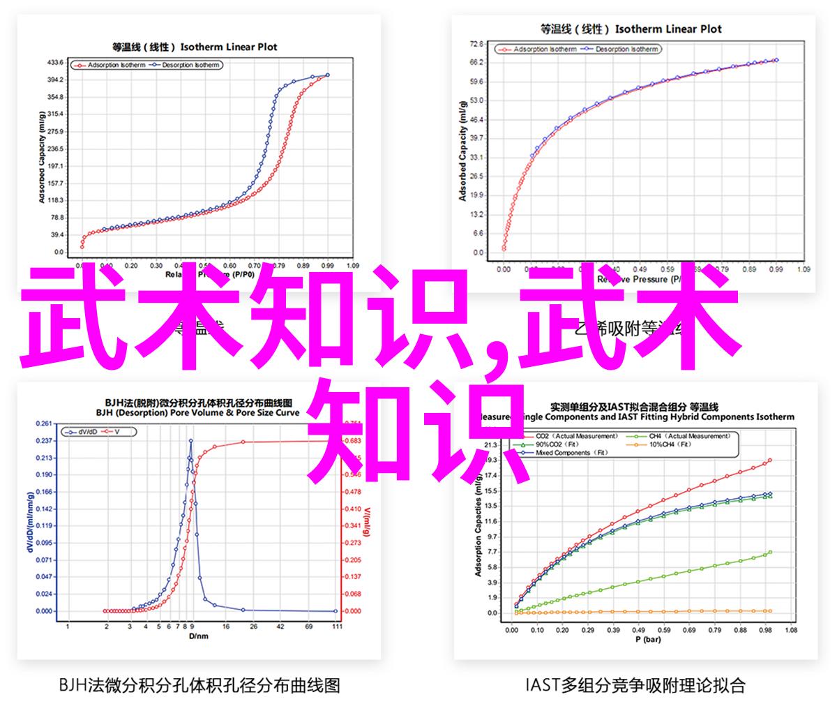 武学纷争揭秘南北两派的兴起原因
