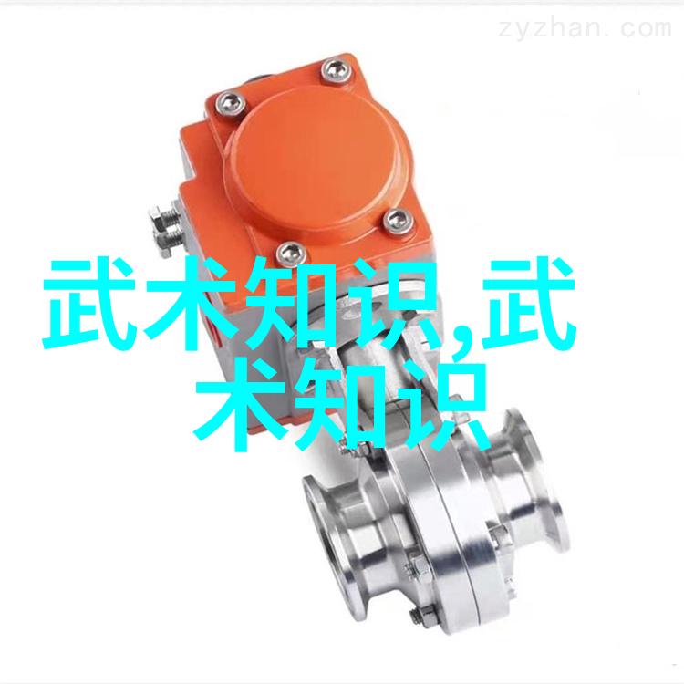 跨国交流咏春拳法在世界的演变与影响