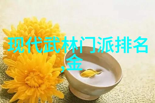 中国功夫门派实战排名反复探索汇极拳的精髓