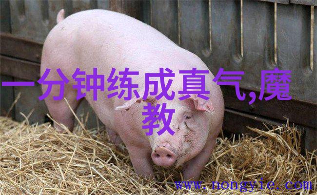 禁练10种气功-严格管控下的内功探秘揭秘被禁练的十大神秘气功