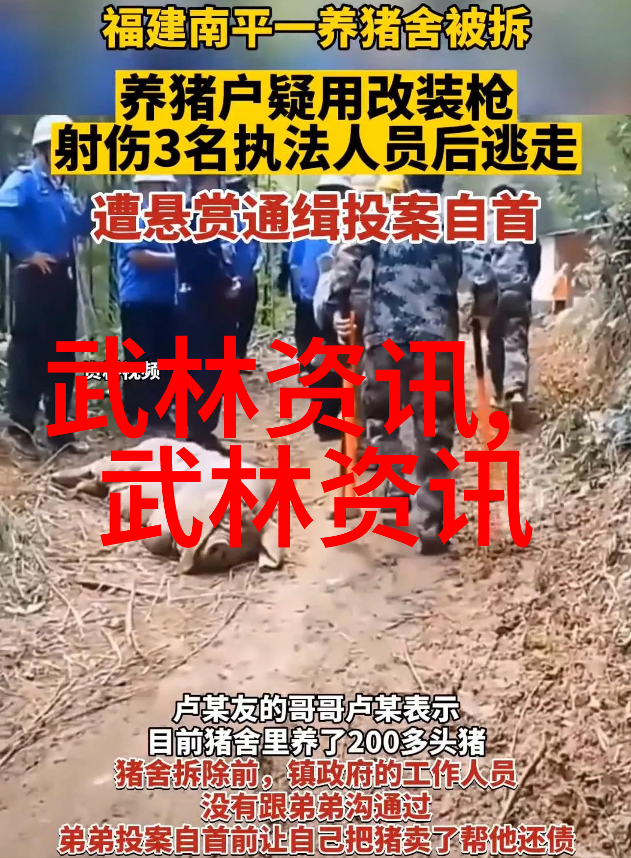 中学生的扑克之旅软弱与坚韧交织在青春的牌桌上