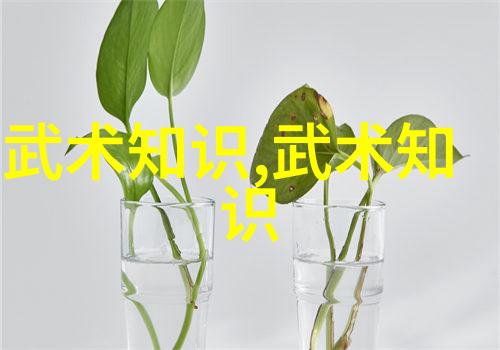 瞬间内功揭秘一分钟练成真气的神秘之法